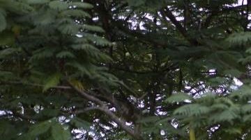 Son cientos los ciudadanos en el área sur que se niegan a regresar a sus hogares por el miedo a que un nuevo sismo haga colapsar sus residencias.