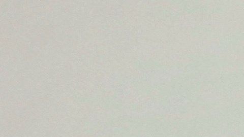 El conjunto de santeros reveló la letra de 2020.