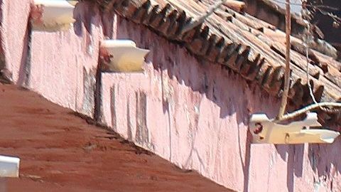 Peritos en el área de una balacera en Apaseo El Grande, Guanajuato.