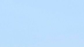 Los camellos están poniendo en riesgo a las comunidades de aborígenes.