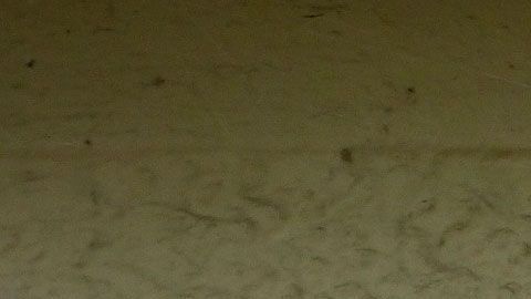 El estafador intenta inducir pánico y vergüenza en la víctima para que actúe sin pensar.