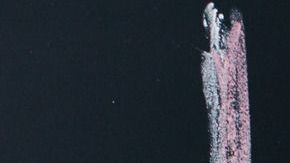 Ketogenic (keto) diet concept. Chalk board with text "Keto diet". Healthy eating and slimming. Nutrition