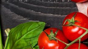 Traditional italian lasagna