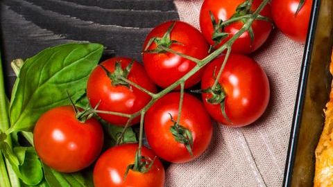 Traditional italian lasagna