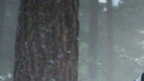 Chris Evans ha encarnado al icónico Capitán América en numerosas películas de la serie de Marvel