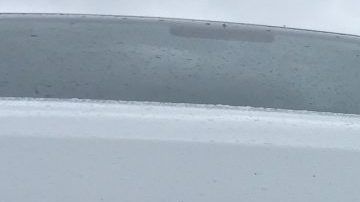 car-grill-2685049_1920