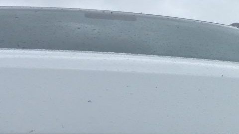 car-grill-2685049_1920