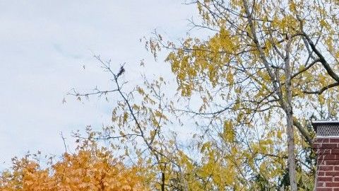 Las bajas tasas hipotecarias no garantizan un crecimiento de ventas en el mercado inmobiliario.