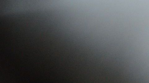 Una influencer decidió someter a su gato a un tatuaje y compartirlo en Instagram.