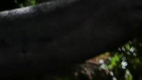 Juan Guaidó intentó entrar al subir una reja.