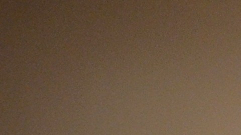 ICIRR y otras organizaciones aliadas realizarán una intensa campaña de promoción e información sobre el Censo 2020 en Chicago y suburbios. (Belhú Sanabria / La Raza)