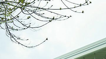 Los reclutadores no comparten información con otras oficinas gubernamentales.