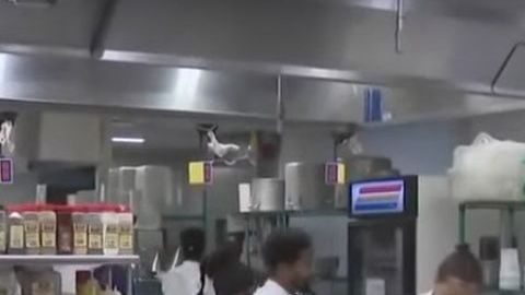 Food Arts Center, en Midtown East