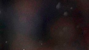 'Chicharito' es canterano del Guadalajara.