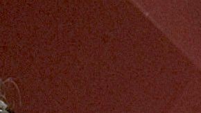 El Año Nuevo chino se celebra en todo el mundo.