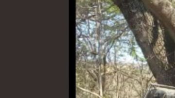 CJNG lanza temible amenaza