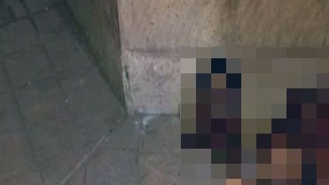 CJNG lo quema y descuartiza, lo acusan haber sido secuestrador y matar inocentes.