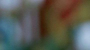 Alanís dejó a Chivas e irá a la MLS.