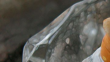 Esta política se implementará en 21 estados del país.