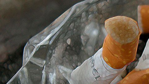 Esta política se implementará en 21 estados del país.