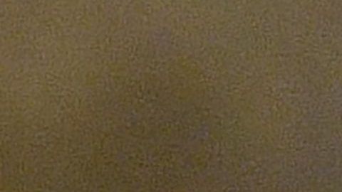 La OMS declaró hoy estado de emergencia global.