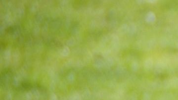 Habría una razón muy poderosa para este animal de aferrarse a la vida.