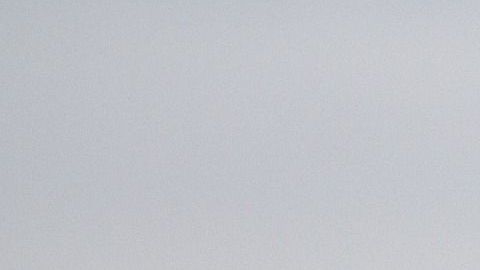 EL hecho fue captado por obra de la casualidad.