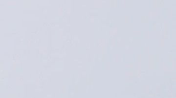 Alessandra Rosaldo y Eugenio Derbez