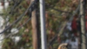 Nuevo fichaje que promete