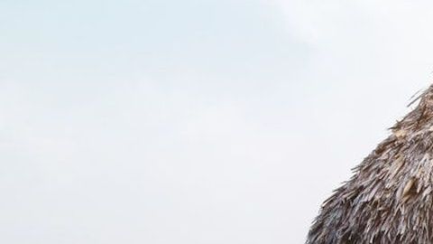 Estos son los destinos imperdibles en México que todos deben conocer. *Foto: Matteo Massimi