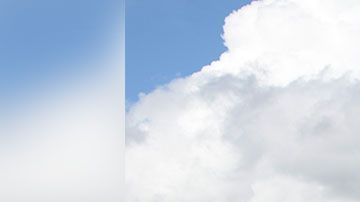 Podrás llevar a un amigo o familiar para que los dos vivan esta gran experiencia.