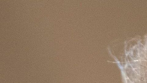 El presidente Trump se suma a la polémica de NPR y Pompeo.