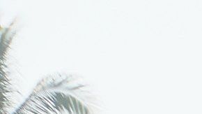 El grupo de migrantes consiguió cruzar el río Suchiate y avanzar durante horas hacia el interior de México.