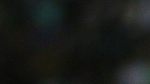 Morelia y DC United lograron llegar a un acuerdo.