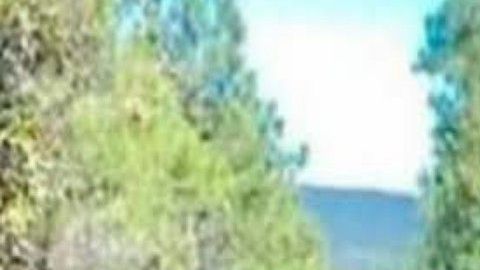 Ejecutan a hermano de Tony Tormenta y líder de brazo armado del Cártel de Sinaloa