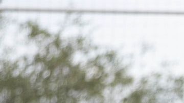 Funes Mori y Pizarro son dos de los integrantes del equipo que sorprendieron.