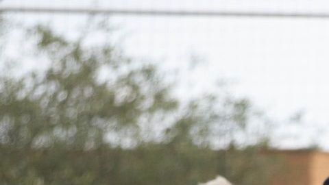 Funes Mori y Pizarro son dos de los integrantes del equipo que sorprendieron.