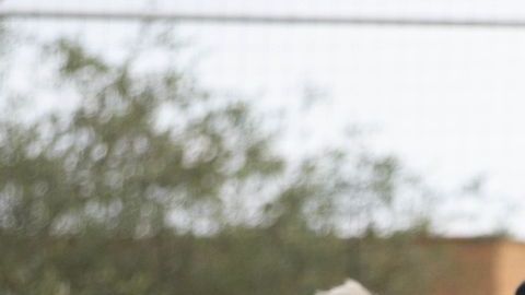 Funes Mori y Pizarro son dos de los integrantes del equipo que sorprendieron.