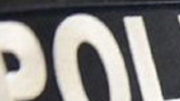 ICE afirma que liberará a la hondureña.