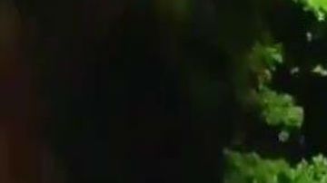 Escena del crimen México