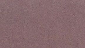 esquite-AHH-La Opinión