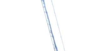 La tragedia se debió a la afluencia masiva de ciudadanos.