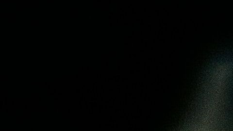 Esta selección de poderosos superalimentos son una extraordinaria fuente de nutrientes y antioxidantes.