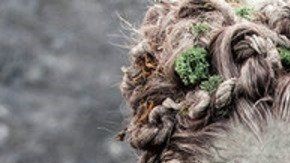 Ficción de HBO sobre "Game of Thrones"