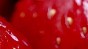 fresas-katie175 en Pixabay