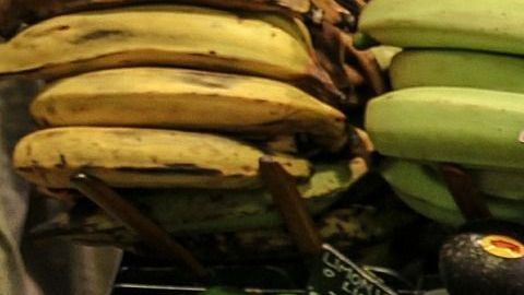 Existen más alimentos en “peligro de extinción” según detallan otros estudios, tales como el maíz, mariscos y miel de maple, entre otros.