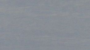 gentoo-penguins-337589_1280