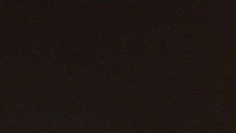 US-POLITICS-WALL-MIGRANTS-immigration-illegal-immigrants