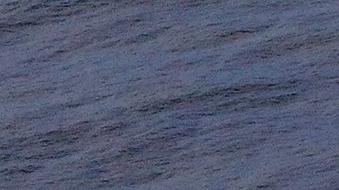 Surfistas en el norte de California.