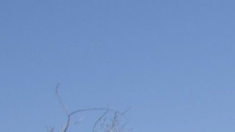 US-MEXICO-BORDER-WATER-DROP-IMMIGRATION-MIGRANTS